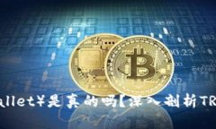 波点钱包（Dot Wallet）是真