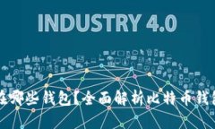 比特币可以存放在哪些钱