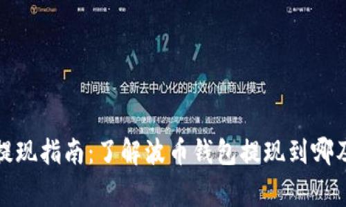 波币钱包提现指南：了解波币钱包提现到哪及注意事项