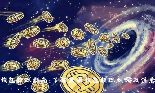 波币钱包提现指南：了解波币钱包提现到哪及注意事项