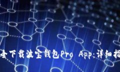 如何从官网安全下载波宝钱包Pro App：详细指南与