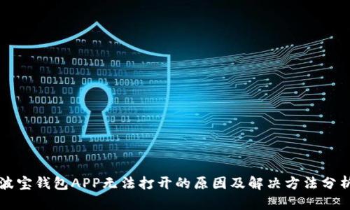 波宝钱包APP无法打开的原因及解决方法分析
