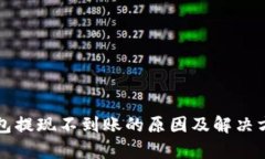 波宝钱包提现不到账的原因及解决方法解析