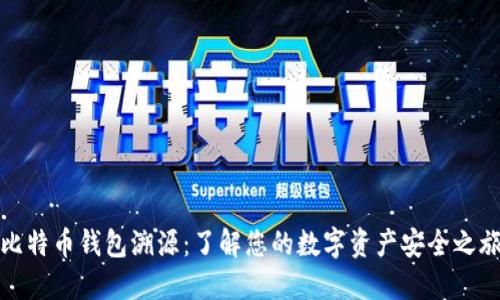 比特币钱包溯源：了解您的数字资产安全之旅