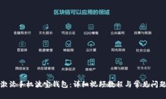 如何激活手机波宝钱包：详细视频教程与常见问
