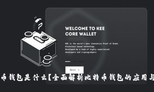 比特币钱包是什么？全面解析比特币钱包的应用与功能