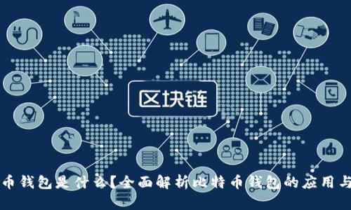 比特币钱包是什么？全面解析比特币钱包的应用与功能