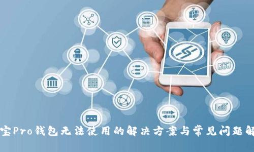 波宝Pro钱包无法使用的解决方案与常见问题解析