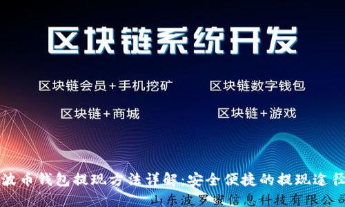 波币钱包提现方法详解：安全便捷的提现途径
