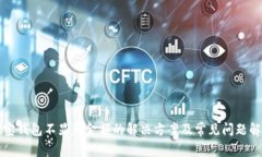 波宝钱包不显示金额的解决方案及常见问题解析
