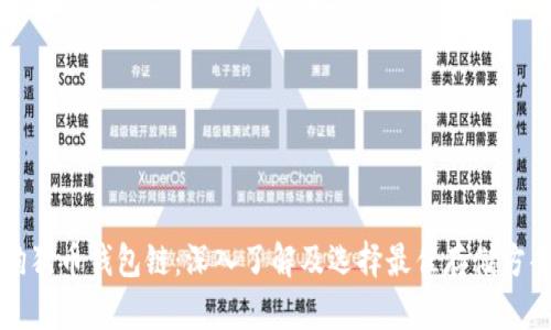 狗狗币钱包链：深入了解及选择最佳存储方案