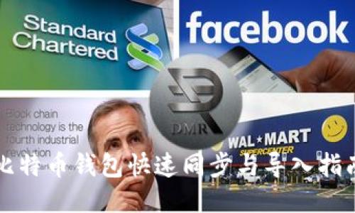 比特币钱包快速同步与导入指南