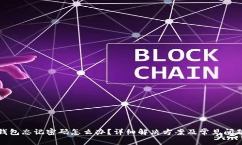 波宝钱包忘记密码怎么办？详细解决方案及常见问题解答