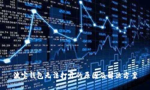 波宝钱包无法打开的原因及解决方案