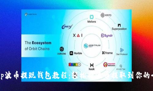 dığıp波币提现钱包教程：轻松将波币提取到你的个人钱包