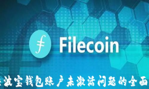 
解决波宝钱包账户未激活问题的全面指南