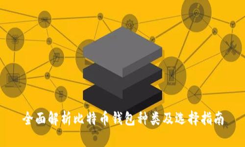 全面解析比特币钱包种类及选择指南