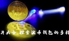 波币钱包图片大全，探索
