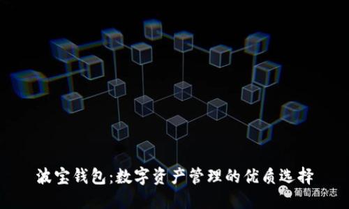 波宝钱包：数字资产管理的优质选择