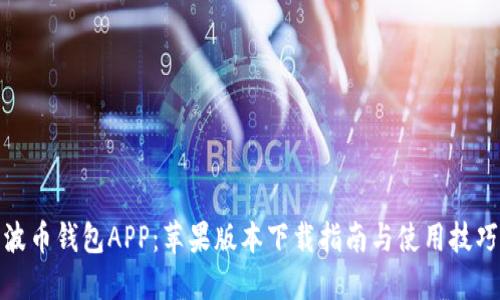 波币钱包APP：苹果版本下载指南与使用技巧