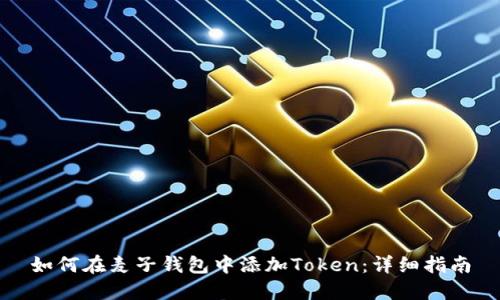 如何在麦子钱包中添加Token：详细指南