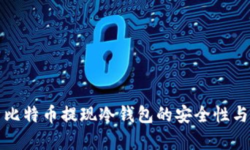 全面解析比特币提现冷钱包的安全性与使用方法